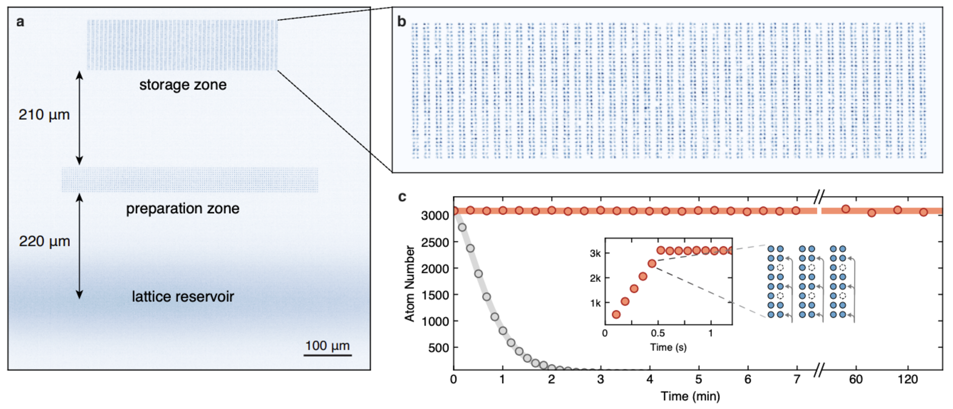 Arrays of qubits, showing storage, preparation, and lattice zones