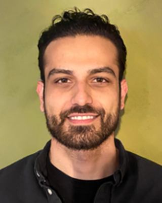 shayan majidy